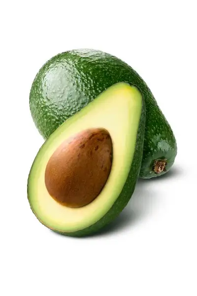 Avocado 牛油果
