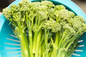 Brokkolini anrichten und dämpfen