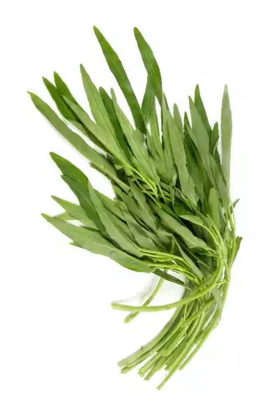 Wasserspinat - 空心菜  