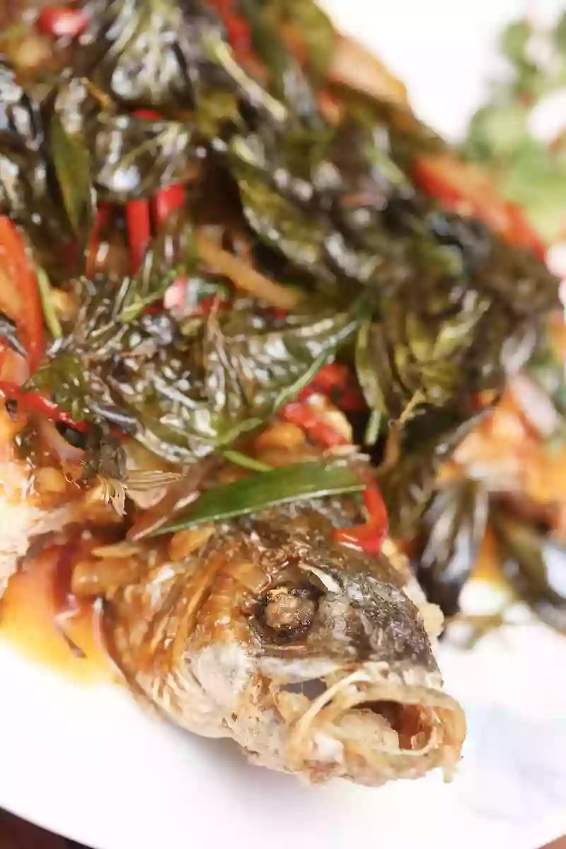 Wolfsbarsch mit Thai Basilikum 泰式九層塔鲈鱼