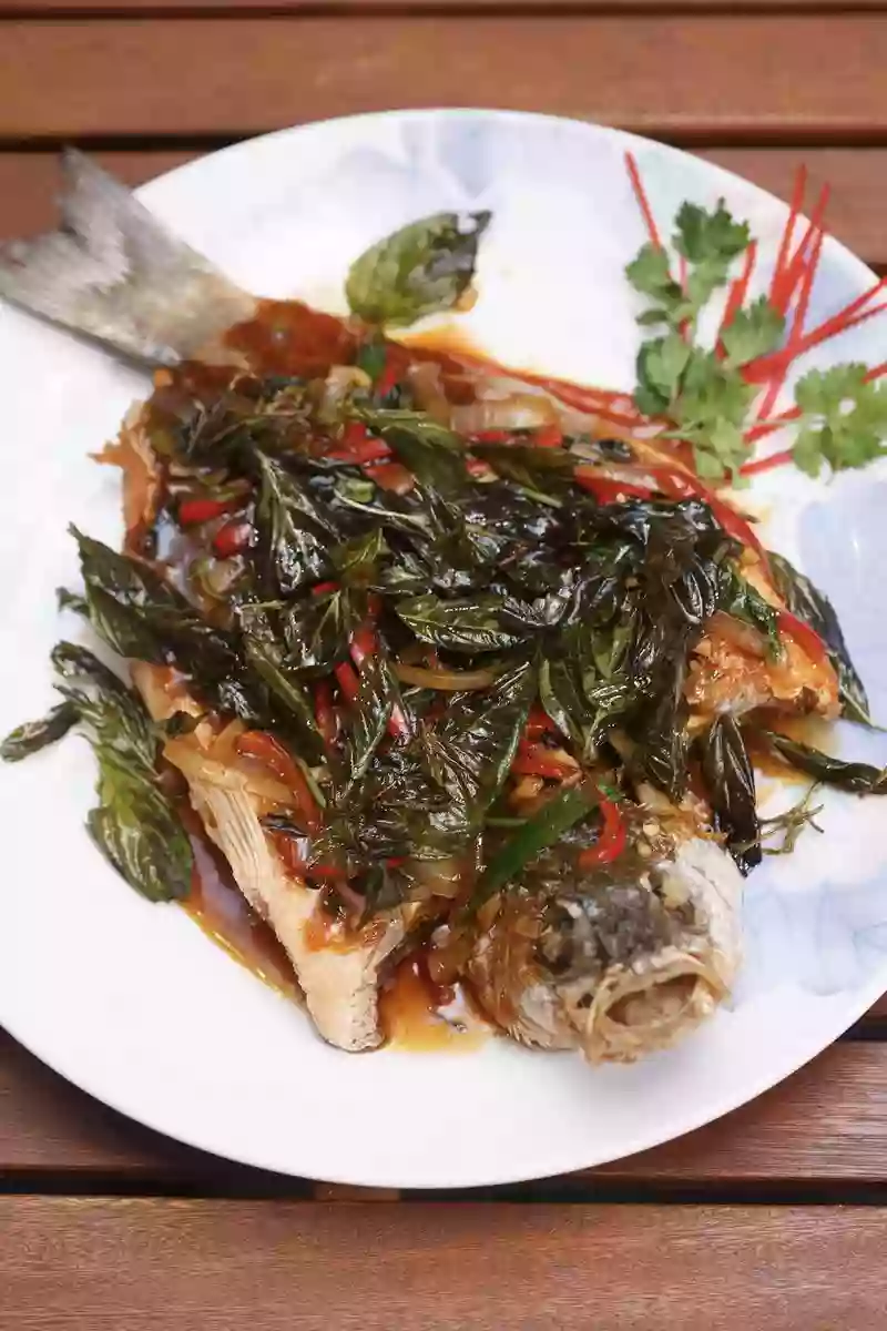 Wolfsbarsch mit Thai Basilikum 泰式九層塔鲈鱼