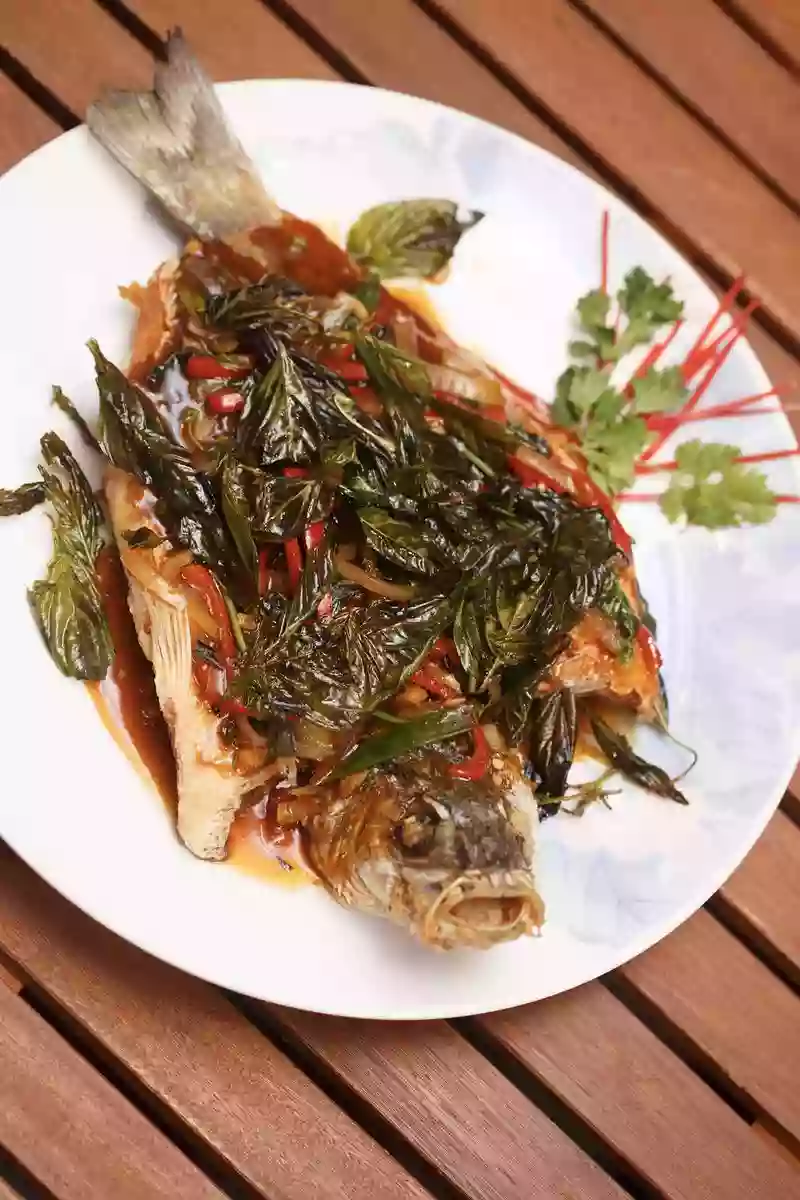 Wolfsbarsch mit Thai Basilikum 泰式九層塔鲈鱼