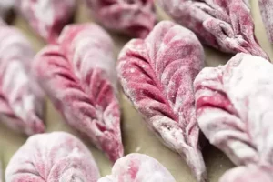 Dim Sum selber machen