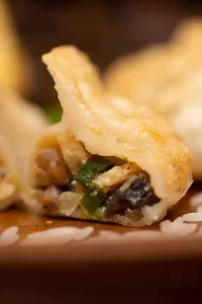 Jiaozi mit Tofu und Pilzen aus Reismehl - vegan und glutenfrei 豆腐香菇餃子