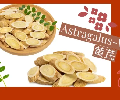 Astragalus-Wurzel 黄芪