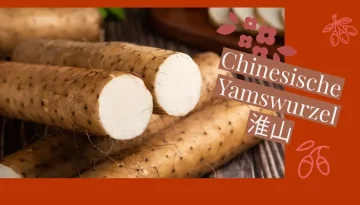 Chinesische Yamswurzel 淮山