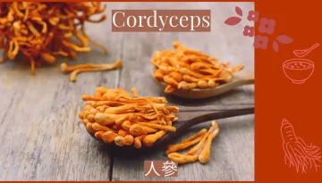 Cordyceps Sinensis