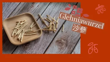 Glehniawurzel 沙參