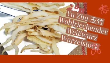 Yu Zhu 玉竹 – Wohlriechender Weißwurz-Wurzelstock-1